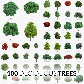 Deciduous Trees Collection - 100 Trees